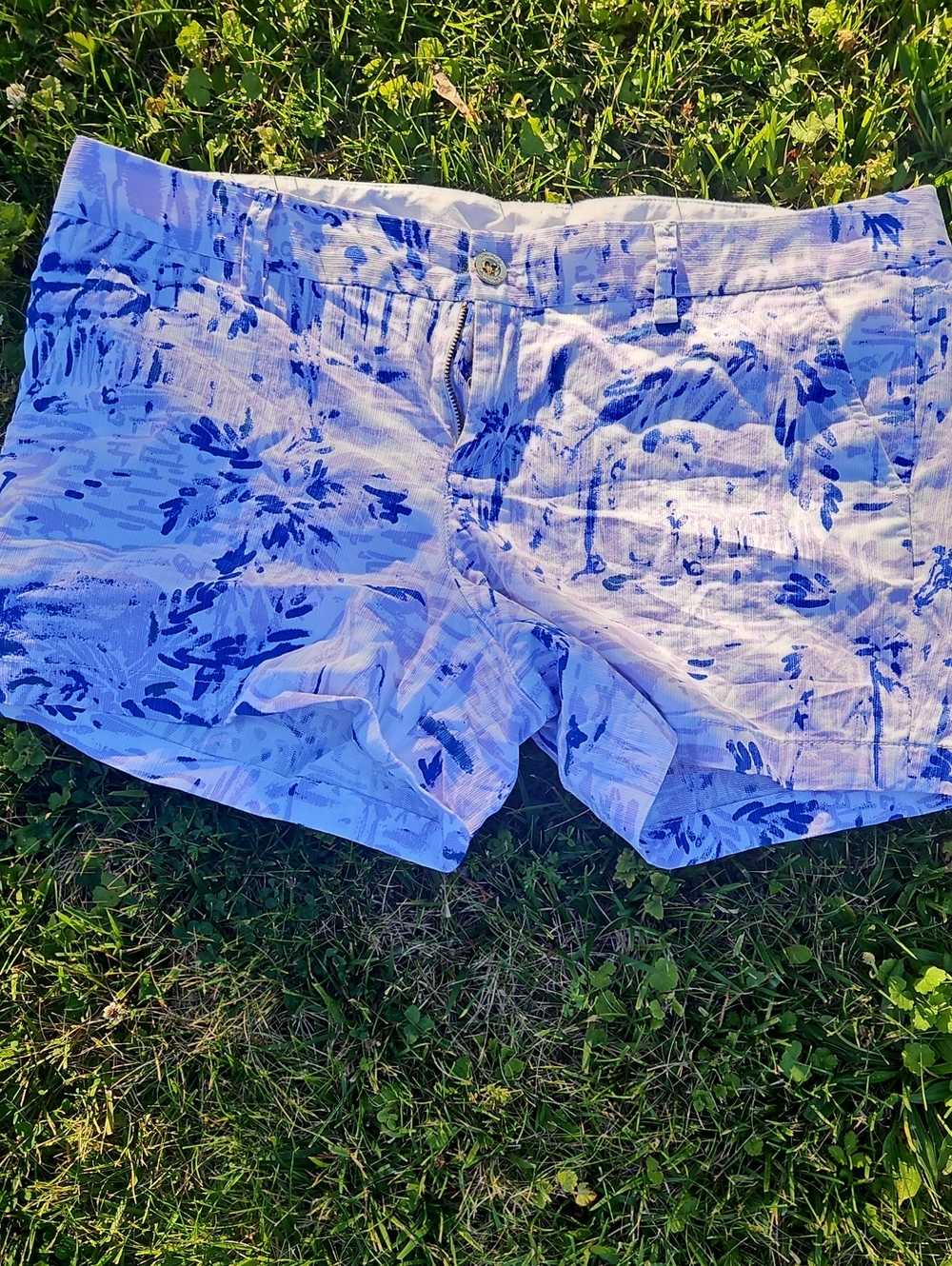 Lilly Pulitzer Light Blue Abstract The Callahan Short 5 Inseam